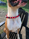 Decorative dog collars