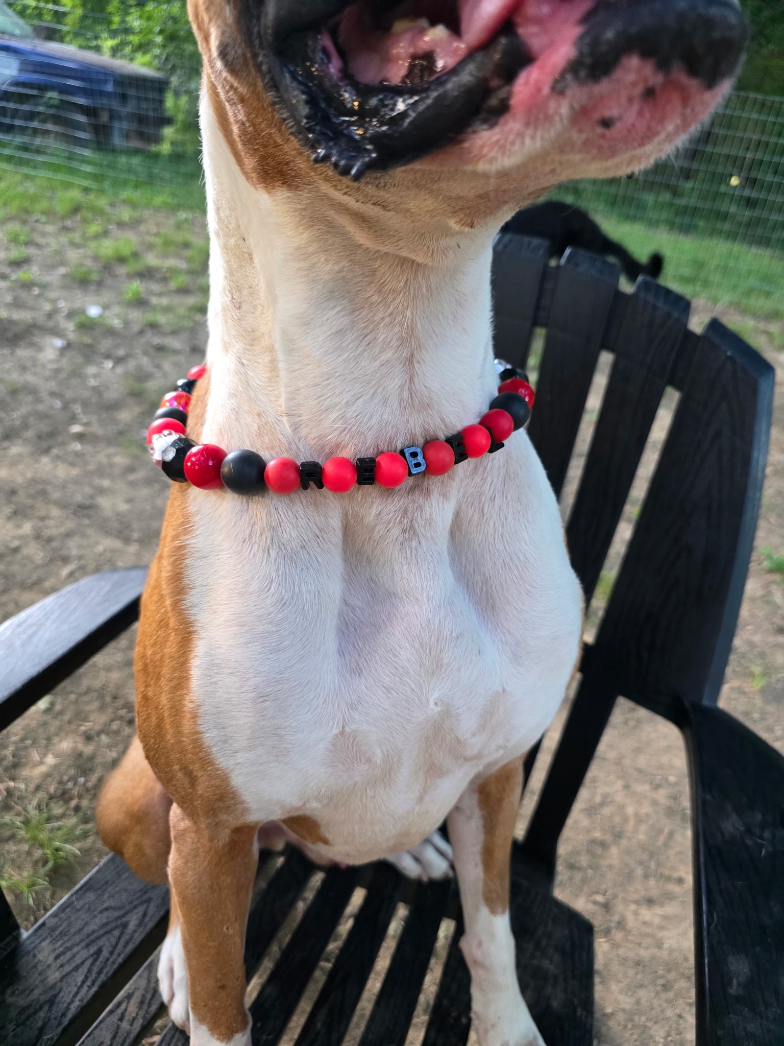 Decorative dog collars
